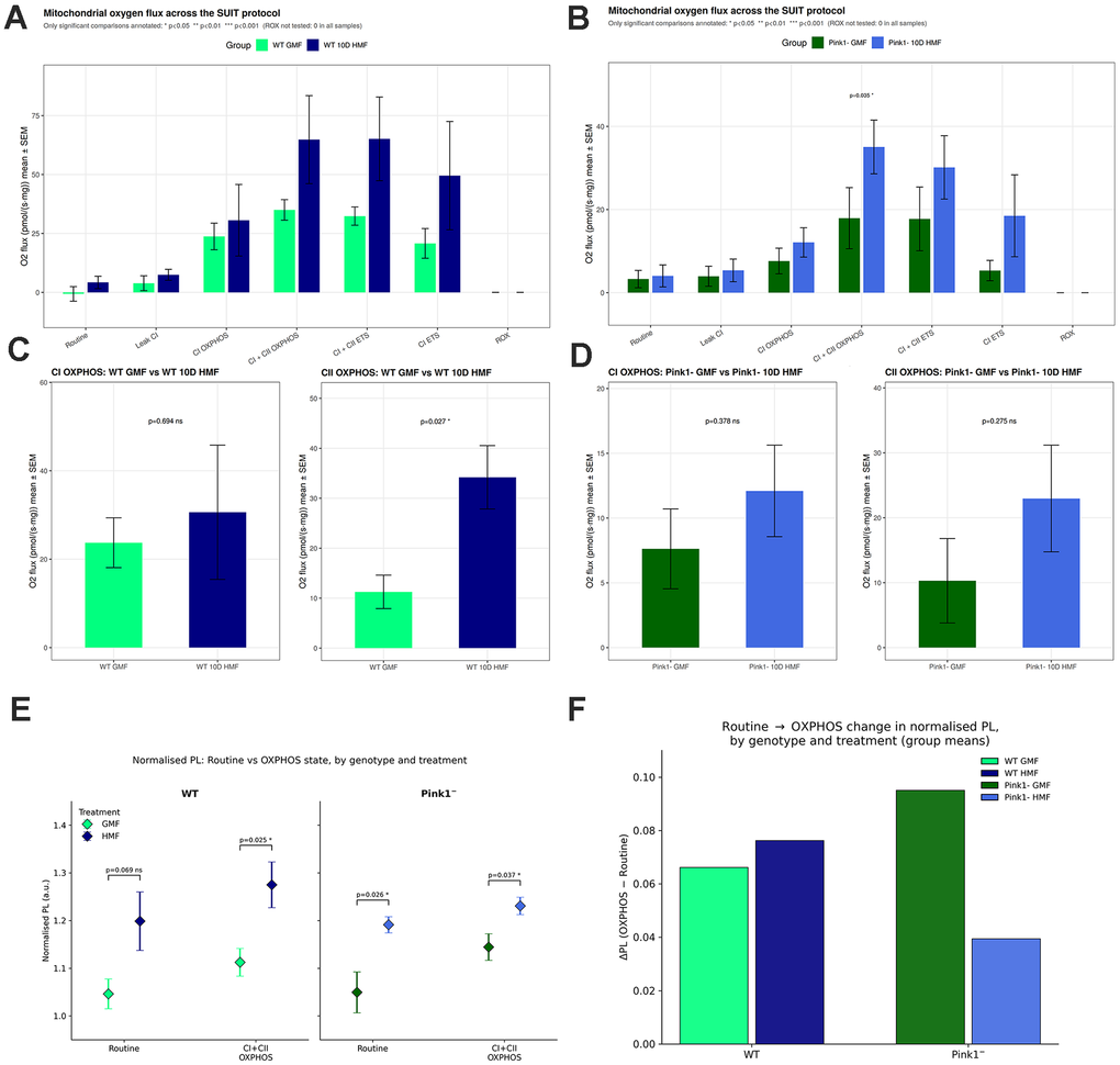 Reed et al. Figure 3. Six panels compare mitochondrial oxygen flux, complex I and II-supported respiration, and radical-related quantum sensor signals in healthy and Pink1-deficient flies with and without magnetic shielding. The complex II increase is significant in healthy flies but not Pink1 flies.